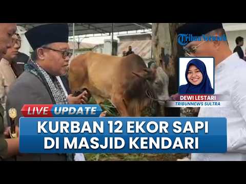 Daging Kurban 12 Ekor Sapi di Masjid Al Kautsar Kendari Dibagi ke Guru TPA hingga Petugas Kebersihan thumbnail