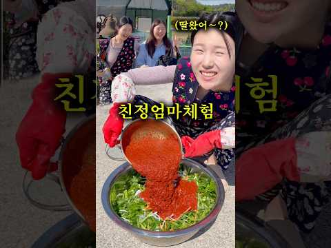 출산한 친구가 열무김치 먹고 싶다고 하면 생기는 일 thumbnail