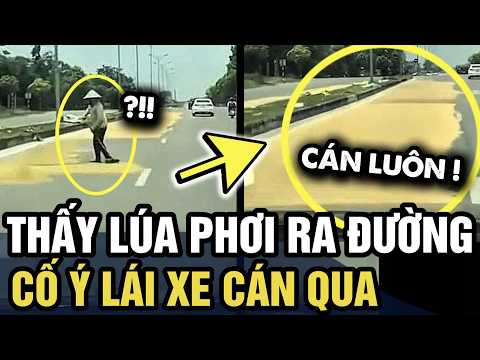 Thấy dân PHƠI LÚA RA ĐƯỜNG, tài xế cố ý đánh lái ĐÈ LÊN GIỮA | Tin 3 Phút thumbnail