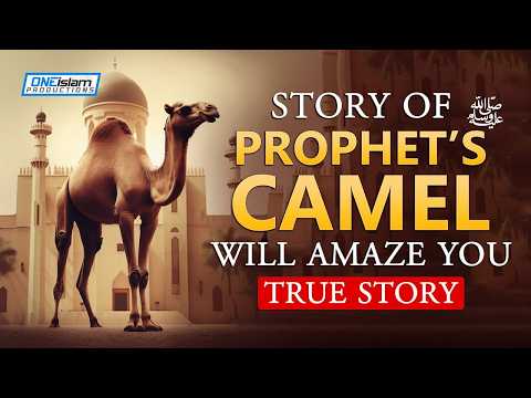 Story Of Prophet's (ﷺ) Camel Will Amaze You thumbnail