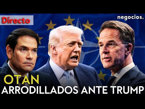 DIRECTO | LA OTAN SE ARRODILLA: RUTTE BUSCA CALMAR A MARCO RUBIO TRAS EL RECORTE DE TROPAS EN EUROPA thumbnail