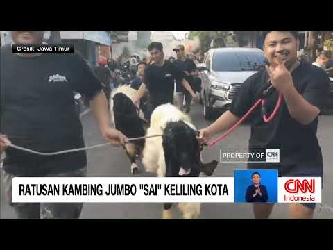Festival dan Tradisi Unik Sambut Iduladha thumbnail