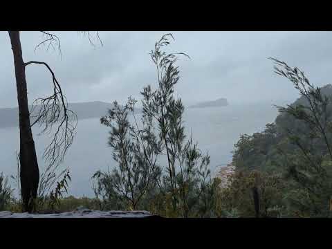 Flint and Steel Point - Lion island thumbnail