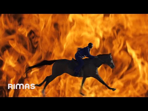 BAD BUNNY - MR. OCTOBER (Visualizer) | nadie sabe lo que va a pasar mañana thumbnail