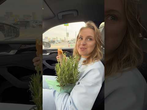 Жиза.. thumbnail