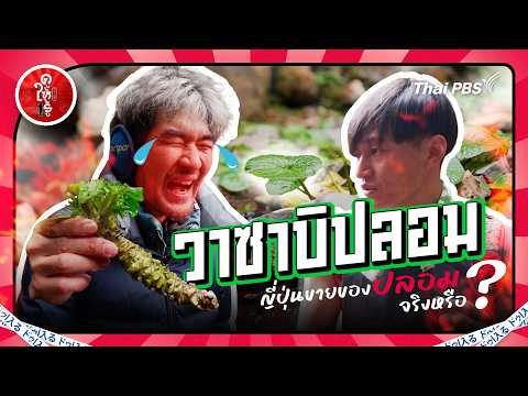 วาซาบิ = ปลอม ? ญี่ปุ่นขายของปลอมจริงหรือ | ดูให้รู้ Dohiru [CC] thumbnail