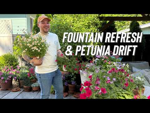 Reworking the Lion Fountain Area for Summer Blooms thumbnail