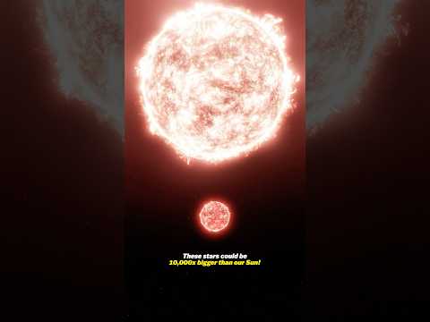 The Biggest Star In The Universe! thumbnail