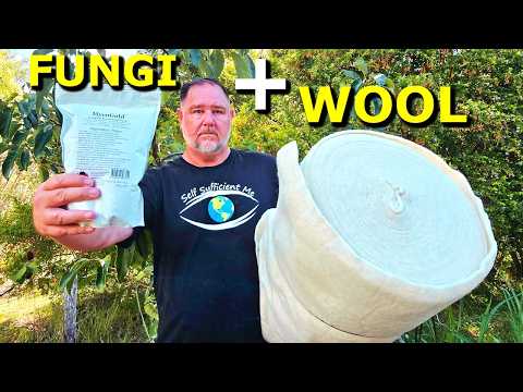 Can These TWO Things SAVE My Avocado Tree? thumbnail