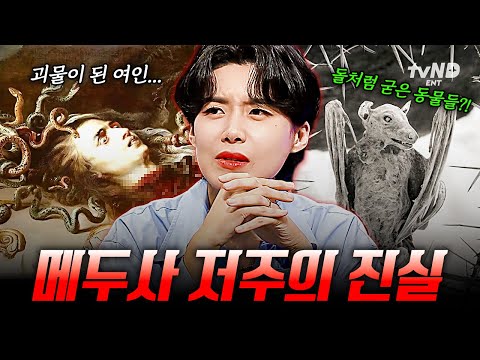 [#다빈치노트] 메두사와 눈을 마주치면 돌로 변한다? 현실판 메두사 저주의 미스터리한 비밀? thumbnail