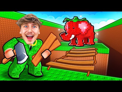 CONSTRUIRE UN PONT POUR VOLER DES BRAINROTS !! (Incroyable) thumbnail