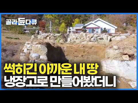 남는 땅이 있어 냉장고 살 돈으로 토굴을 만들어 봤더니｜시골살이에 완벽한 땅굴 저장고｜극한직업｜#골라듄다큐 thumbnail