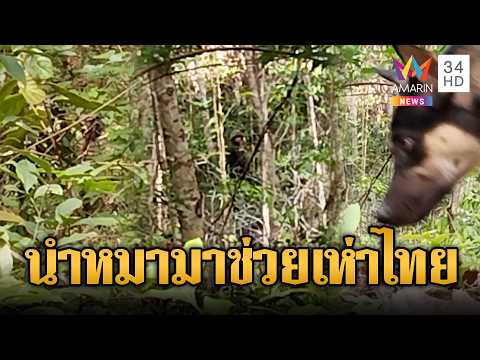 เขมรพาหมาขู่ไล่ทหารไทยสุดเดือด | ข่าวอรุณอมรินทร์ | 05/06/69 thumbnail