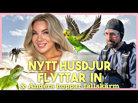Nytt husdjur flyttar in och Anders hoppar fallskärm thumbnail