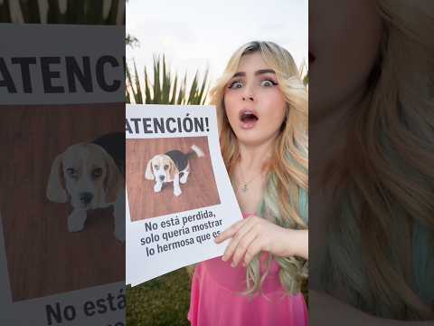 PEGUÉ VOLANTES de mi PERRITA por TODA la CIUDAD!! 😱🐶 thumbnail