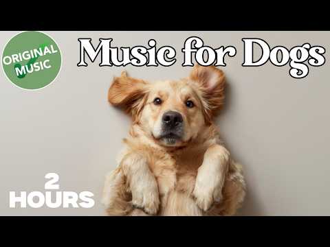 2 HOURS of Dog Relaxing Music 💖🦮 Deep Relaxing Music for Dogs Home Alone thumbnail