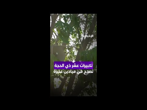 تكبيرات عشر ذي الحجة تصدح في ميادين عنيزة thumbnail