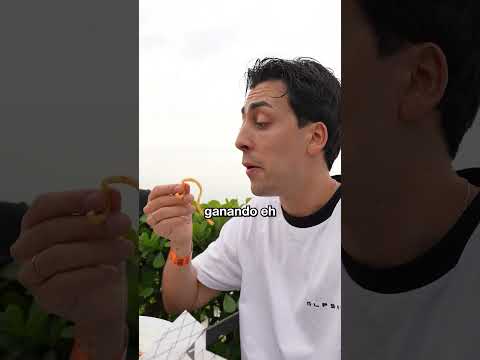 La Gastronomia Brasilera thumbnail