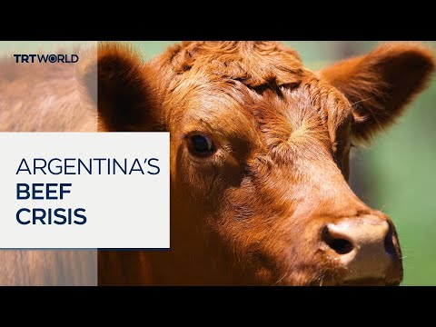 Rising costs force Argentinians to cut back on beef thumbnail