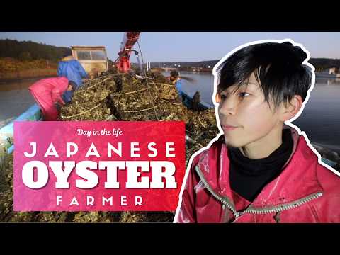 Day in the Life of a Japanese Oyster Farmer thumbnail