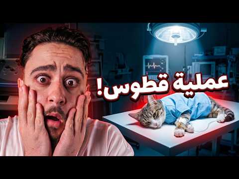 يوم عملية قطوس! 🏥😿 thumbnail