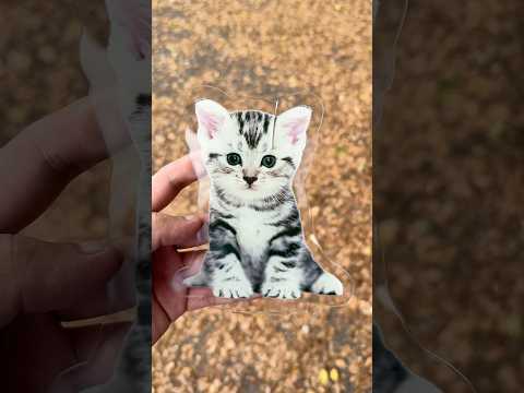 Kalian pilih kucing atau anjing? thumbnail