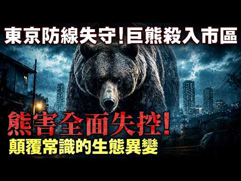 東京防線失守！巨熊殺入市區 八王子住宅區！熊害全面失控 顛覆常識的生態異變！ thumbnail