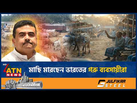 মাছি মারছেন ভারতের গরু ব্যবসায়ীরা, হাটে নেই কোন ক্রেতা | Indian Cow Market | ATN News thumbnail