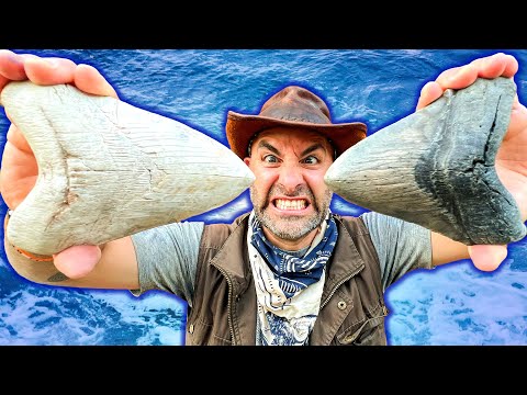 Shark Tooth Challenge! Digging for GIANT Megalodon Teeth! thumbnail