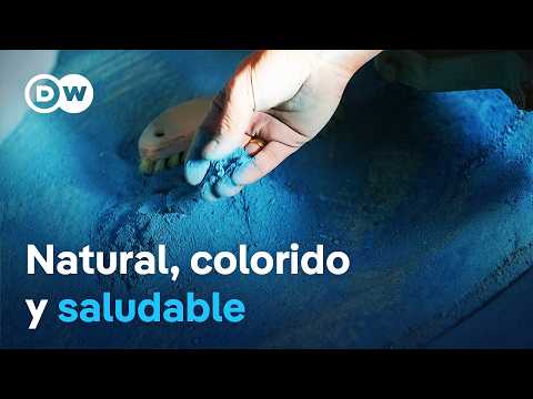La magia de los colores | DW Documental thumbnail