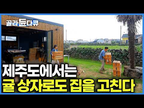 폐가 보여주며 결혼하자고 했습니다. 제주 폐가에서 시작된 신혼부부의 현실 제주살이｜직장인 부부가 500일 동안 귤 상자로 직접 고친 제주 촌집의 놀라운 결과｜한국기행｜#골라듄다큐 thumbnail