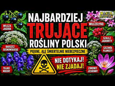 Uważaj Na Nie! - Zabójcze Rośliny Polskiej Przyrody thumbnail