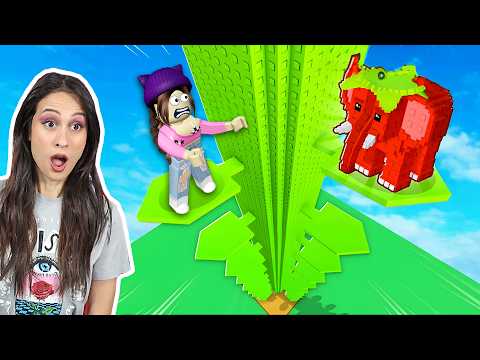 GROEI BONENSTAAK VOOR BRAINROTS! - Roblox || Fan Friday thumbnail