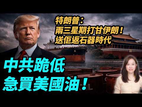 特朗普：兩三星期打甘伊朗！送佢返石器時代！中共跪低急買美國油！粵語頻道 【#新聞不過濾】黃瑞秋 4.2 thumbnail