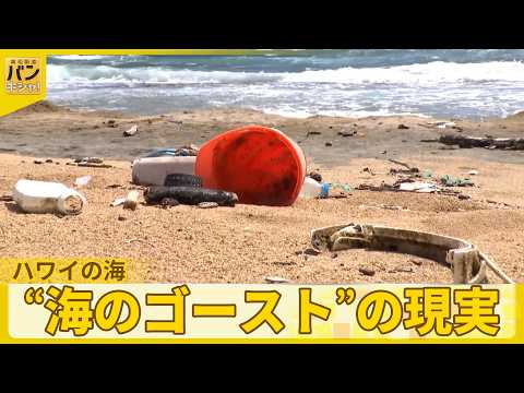 【桝太一Cハワイの海へ】自然豊かな裏側で…漂う“海のゴースト”の現実『バンキシャ！』 thumbnail