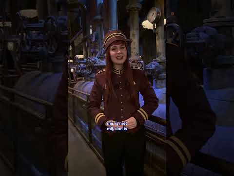 Kijk mee met Jara's werkdag bij The Twilight Zone Tower of Terror... als je durft! 🛗 thumbnail