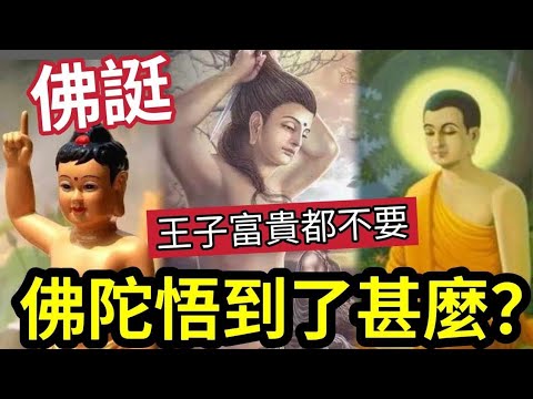 #佛禪 佛誕必看！佛陀成佛「悟道」悟到了什麼？告訴我們「人生最重要」是甚麼？王子出身「富貴權力及妻子都不要」原來我們都可以成佛！#佛誕 thumbnail