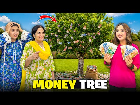 Tree Par Paisy Lag Gaye PRANK*??|Divorce Mill Gayi???|Hira & Rabia Ki Fight??|Sistrology  thumbnail