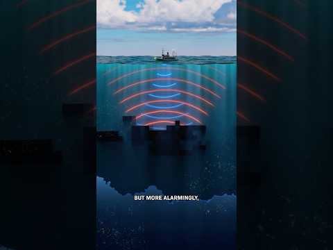 They Found A Mysterious Shadow in the Ocean thumbnail