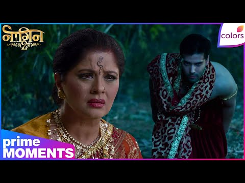 Naagin S2 | Highlights | Ep. 17 | Yamini’s Deadly Trap! Rudra Fighting For Life | Colors TV thumbnail