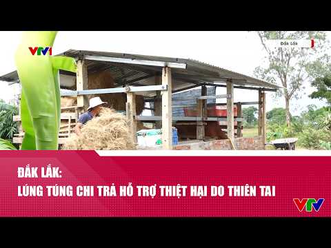 Đắk Lắk: Lúng túng chi trả hỗ trợ thiệt hại do thiên tai | VTV24 thumbnail