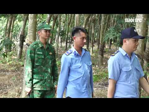 Cao su Tân Biên: phát triển kinh tế, phối hợp bảo vệ an ninh thumbnail