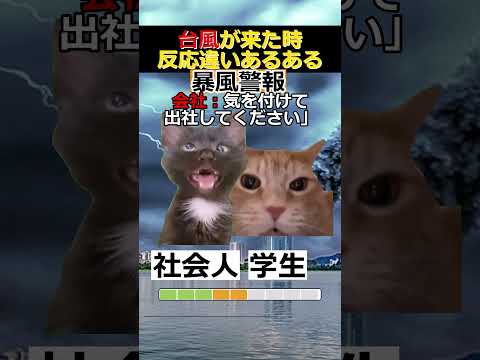 【猫ミーム】台風発生反応の違い #2ch #ゆっくり実況 #猫ミーム #あるある #違い #海外 #catmemes  #台風 thumbnail