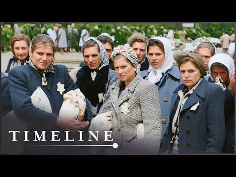 After Auschwitz: The Painful Reality Of Liberation thumbnail