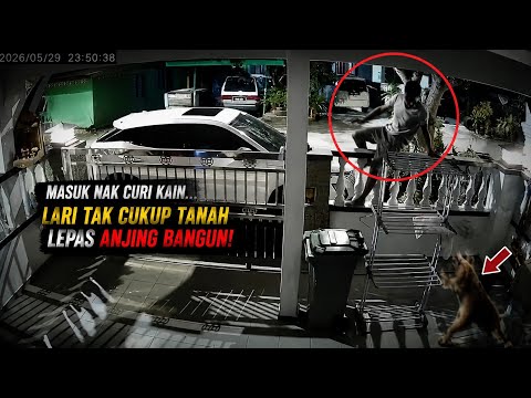 “INGAT SELAMAT… SEKALI ANJING TERUS KEJAR!”‼️KEJADIAN CEROBOH RUMAH ORANG thumbnail