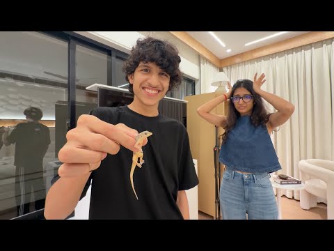 Piyush Ne Chipkali Pakad Li 😲 thumbnail