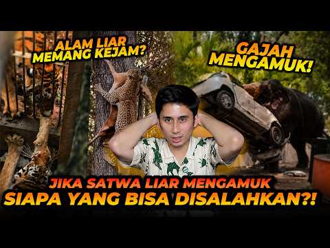 GAJAH NGAMUK ANCURIN MOBIL SAMPE SUPIRNYA T3W4S?! REACT VIDEO SATWA LIAR! thumbnail