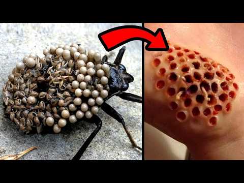 42 Cosas Que NUNCA Debes Tocar Con Las Manos Desnudas thumbnail