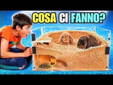 COSTRUIAMO UNA PISCINA PER CONIGLI con Stanza Segreta thumbnail