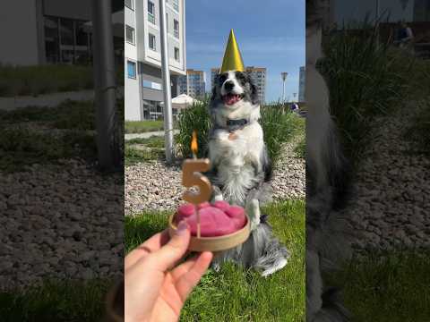 Nie wierzę, że to już 5 lat🥺💗 thumbnail